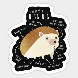 Hedgehog Anatomy Sticker